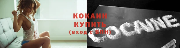 стафф Медвежьегорск